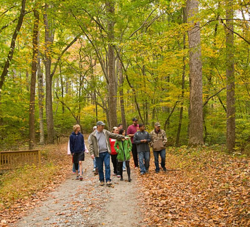 People walking along forrest path